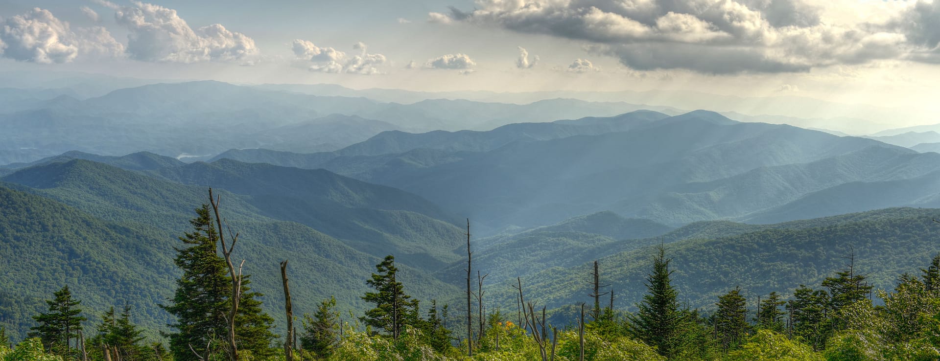 Lavander Corner Tags